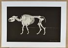 Limited edition HIDEO TAKEDA print ALTAMIRA WATER BUFFALO signed