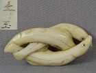 19c marine netsuke WHITEBAIT FISH GROUP by JUGYOKU