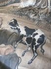 Chinese Antique Scroll Painting of Five Oxen