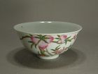 Small Chinese Porcelain Famille Rose Bowl Nine Peaches Circa 1900