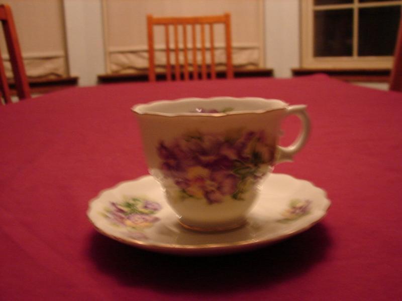 Royal Sealy Cup and Saucer
