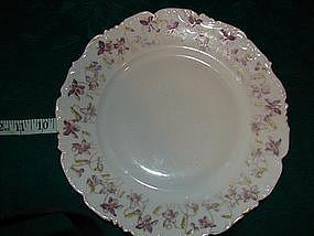 Tressemann & Vogt China dinner plates