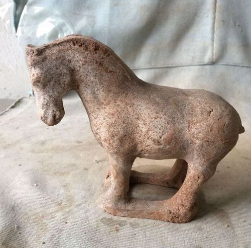 Chinese Tang Dynasty Pottery Horse