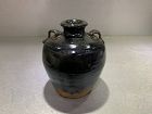 Chinese Ming Dynasty Black Glaze Bottle with 2 Lugs