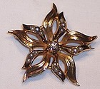 Victorian 14k Gold Starburst Pearl Diamond Brooch Pin