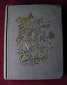 ANTIQUE BOOK..BEAUTIES OF NATURE AND ART.. D. DALE 1892