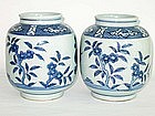 Qing Dynasty - Pair of Blue and White Flower Jar