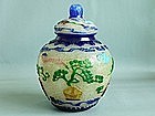 Qing Dynasty - Multi Colour Peking Glass Longivety Vase