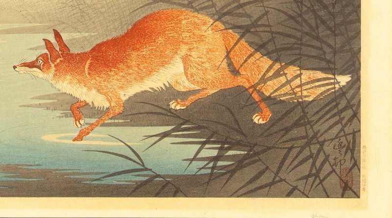 Koson Woodblock Print - Fox in Reeds - Rare SOLD