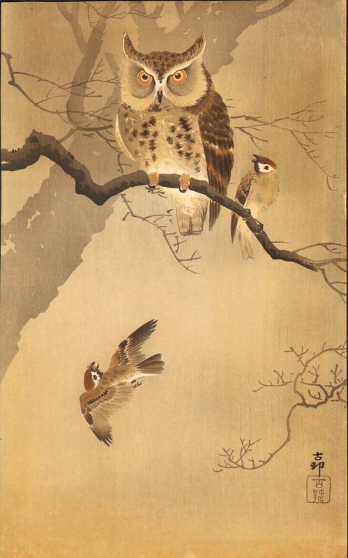 Ohara Koson Japanese Woodblock Print - Rare Owl SOLD