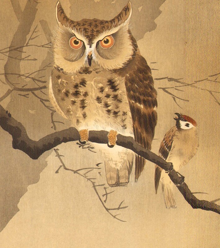 Ohara Koson Japanese Woodblock Print - Rare Owl SOLD