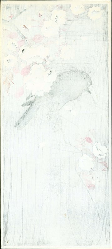 Hotei Japanese Woodblock Print - Crow on Blossoming Cherry SOLD
