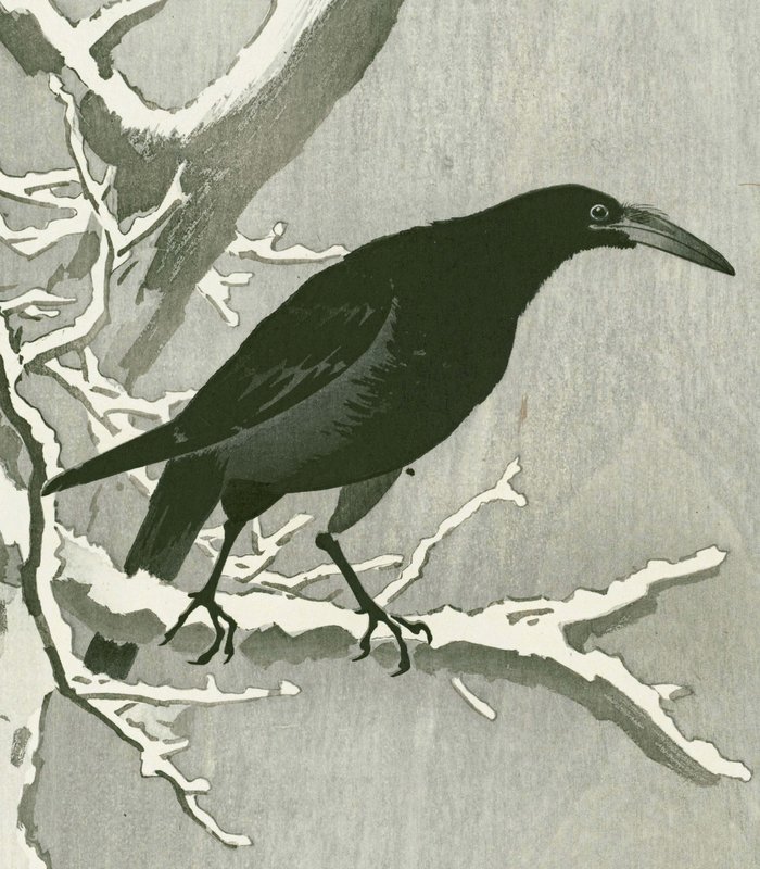 Ohara Koson Woodblock Print - Jungle Crow on a Snowy Branch SOLD