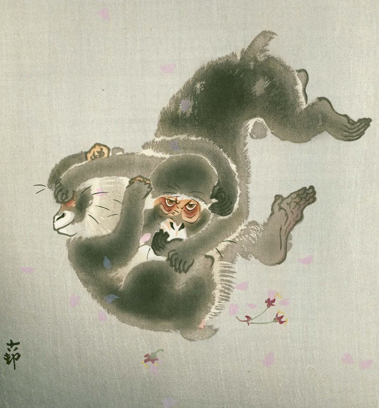 Ohara Koson Japanese Woodblock Print - Playing Monkeys SOLD