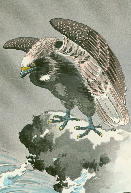 Tsuchiya Koitsu Japanese Woodblock Print - Eagle