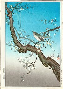 Tsuchiya Koitsu Japanese Woodblock Print - Plum Warbler