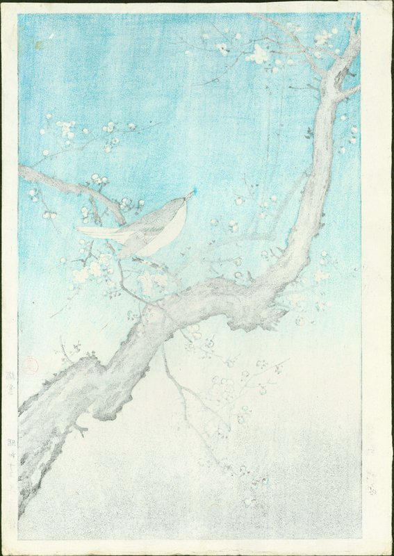 Tsuchiya Koitsu Japanese Woodblock Print - Plum Warbler SOLD