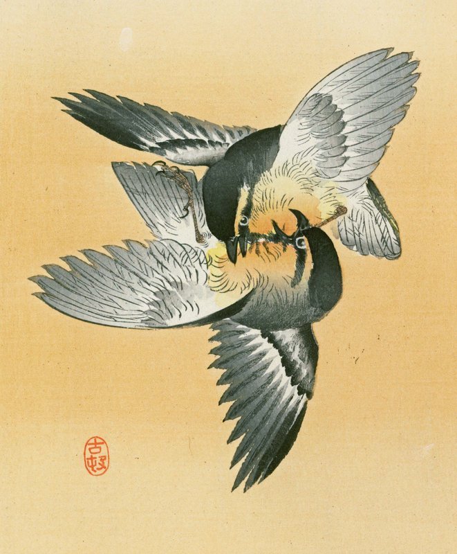 Ohara Koson Woodblock Print - Birds in Orange Sky - Rare SOLD