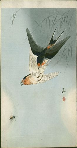 Ohara Koson Japanese Woodblock Print -Two Barn Swallows in Flight SOLD