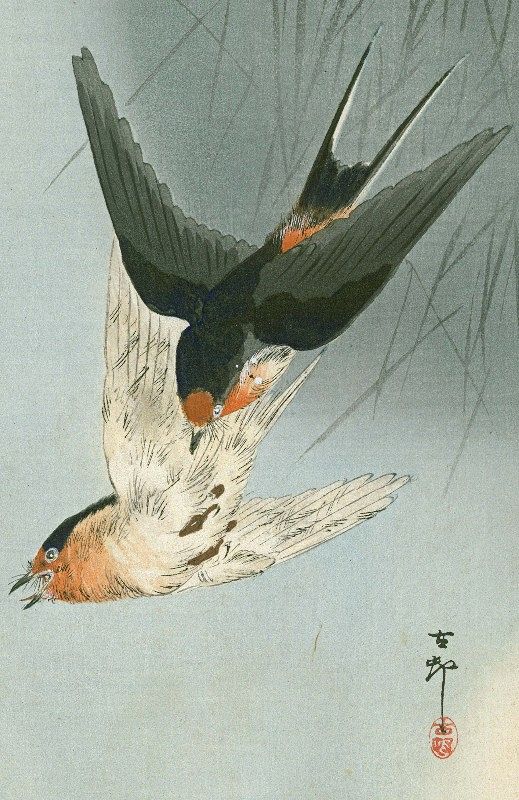 Ohara Koson Japanese Woodblock Print -Two Barn Swallows in Flight SOLD