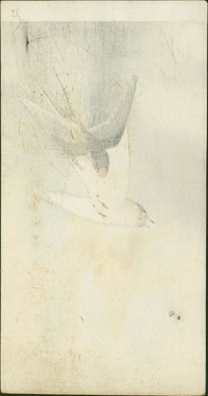 Ohara Koson Japanese Woodblock Print -Two Barn Swallows in Flight SOLD