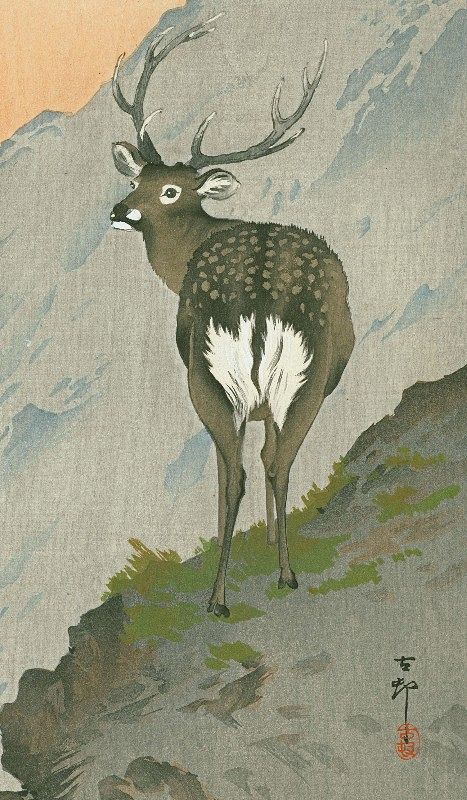 Ohara Koson Japanese Woodblock Print - Deer in mountains SOLD