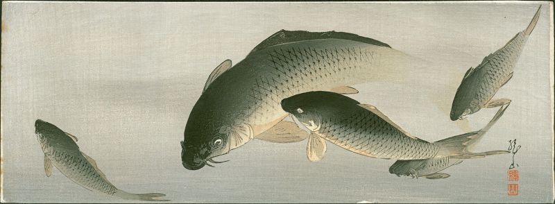 Ito Sozan Japanese Woodblock Print - Swimming Carp - Rare SOLD