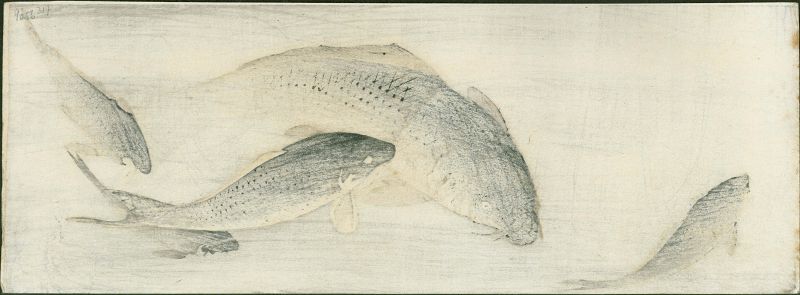 Ito Sozan Japanese Woodblock Print - Swimming Carp - Rare SOLD