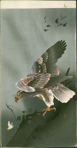Ohara Koson  Woodblock Print - Eagle with Outspread Wings SOLD