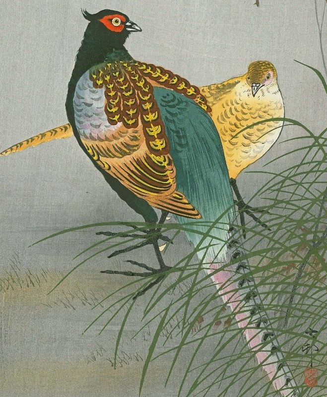 Ohara Koson Japanese Woodblock Print - Pheasants Between Grasses SOLD