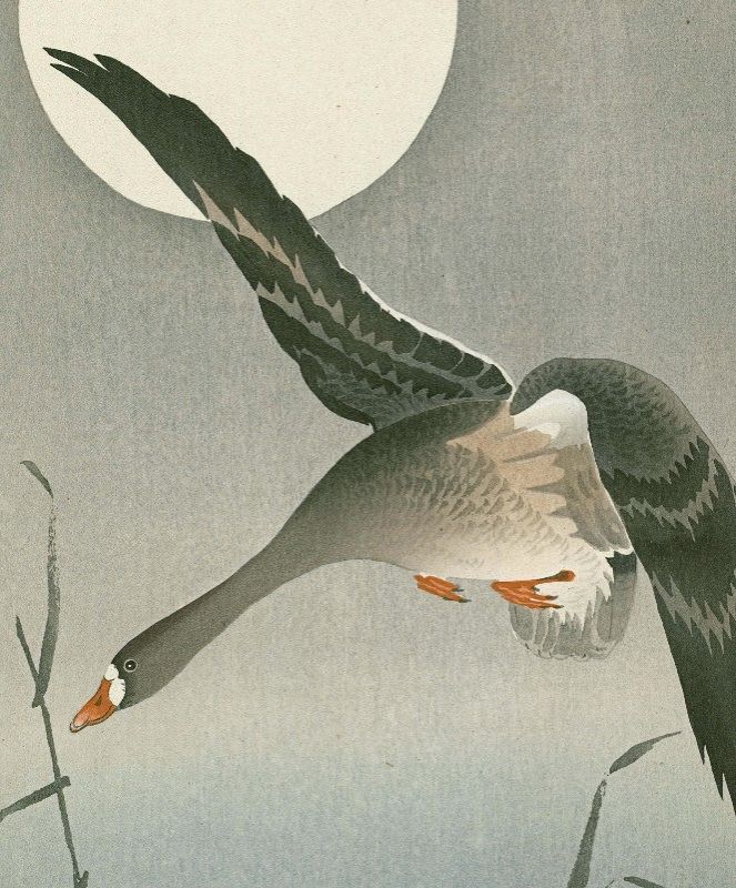 Ohara Koson Japanese Woodblock Print - Flying Goose and Full Moon RARE