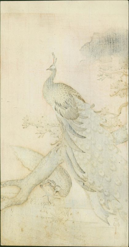 Ohara Koson Japanese Woodblock Print - Peacock and Peahen - RARE