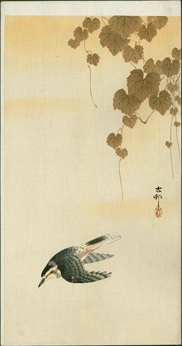 Ohara Koson Woodblock Print - Bird in Yellow Sky - Ivy Above SOLD