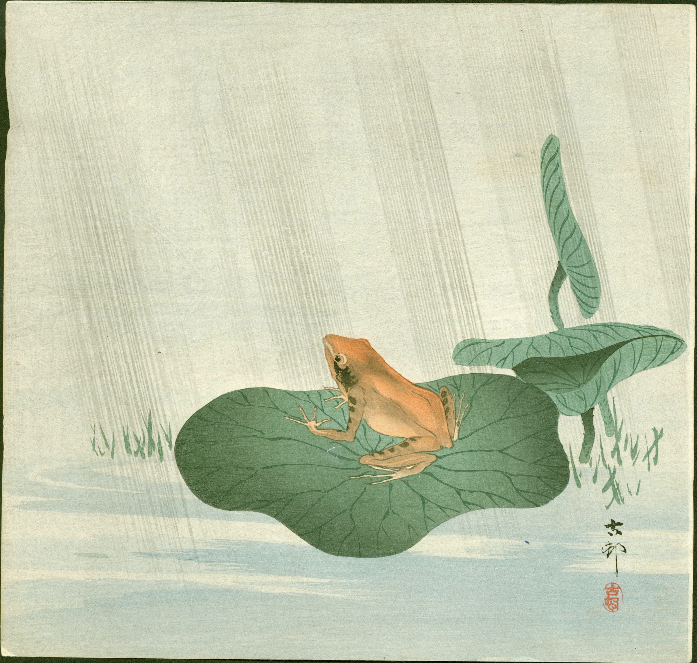 Ohara Koson Japanese Woodblock Print - Frog on Lotus Leaf SOLD