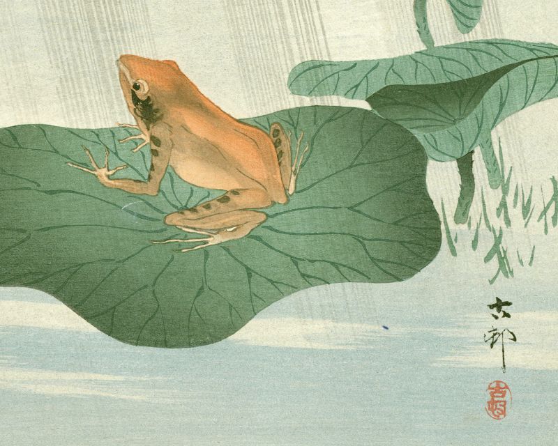 Ohara Koson Japanese Woodblock Print - Frog on Lotus Leaf SOLD