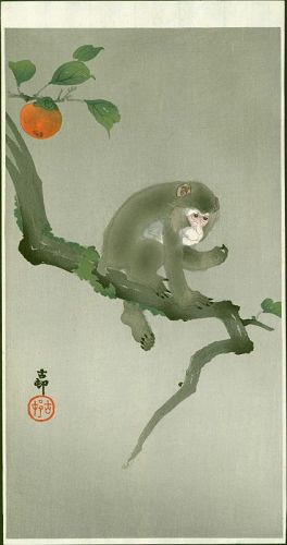 Ohara Koson Woodblock Print - Monkey in a Persimmon Tree SOLD