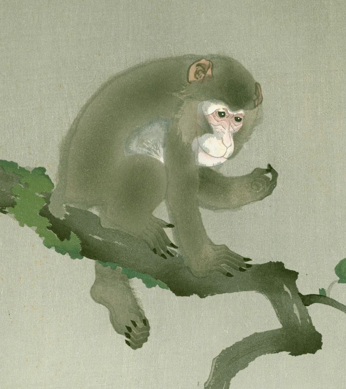 Ohara Koson Woodblock Print - Monkey in a Persimmon Tree SOLD