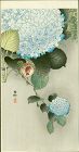 Ohara Koson Japanese Woodblock Print - Sparrow on Hortensia SOLD