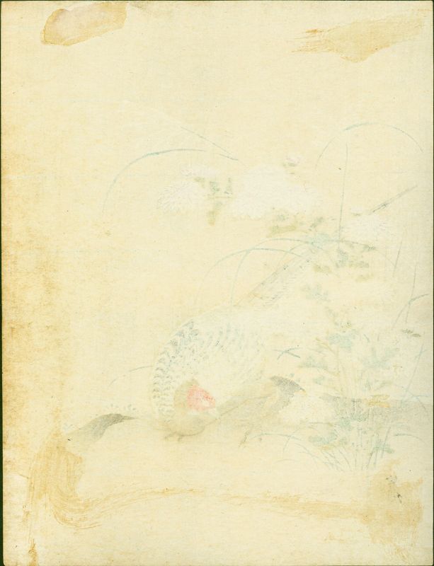 Kano Tsunenobu Japanese Woodblock Print - Pheasant and Wildflowers