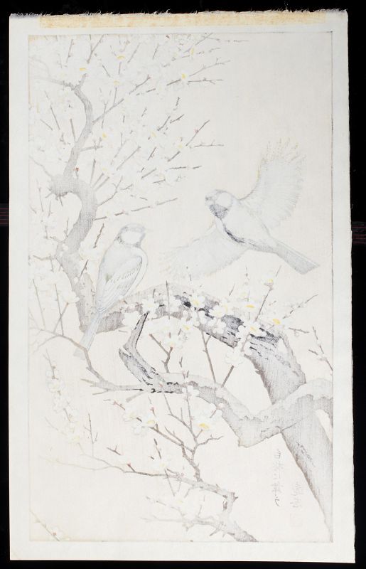 Toshi Yoshida Japanese Woodblock Print - Birds in Spring - Plum Tree
