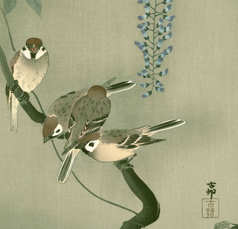 Ohara Koson Japanese Woodblock Print - Sparrows and Wisteria SOLD