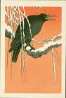 Ohara Koson Japanese Woodblock Print - Crow on Snowy Bough SOLD
