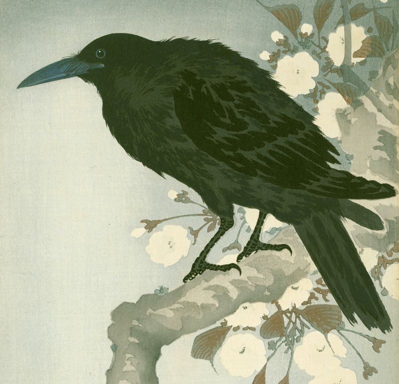 Ohara Koson Woodblock Print - Crow on Cherry Branch - RARE SOLD