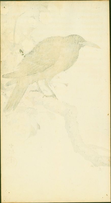 Ohara Koson Woodblock Print - Crow on Cherry Branch - RARE SOLD