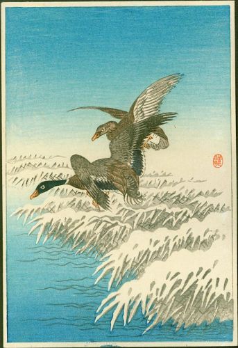 Ohara Shoson (Koson) Woodblock Print - Two Ducks Snowy Reeds - Rare