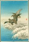 Ohara Shoson (Koson) Woodblock Print - Two Ducks Snowy Reeds - Rare