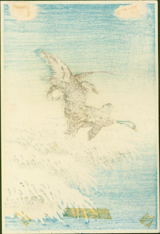 Ohara Shoson (Koson) Woodblock Print - Two Ducks Snowy Reeds - Rare