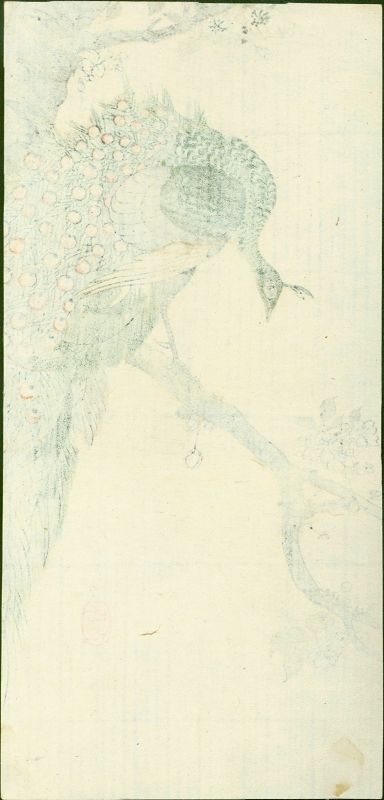 Ohara Koson Woodblock Print - Peafowl on Flowering Cherry SOLD