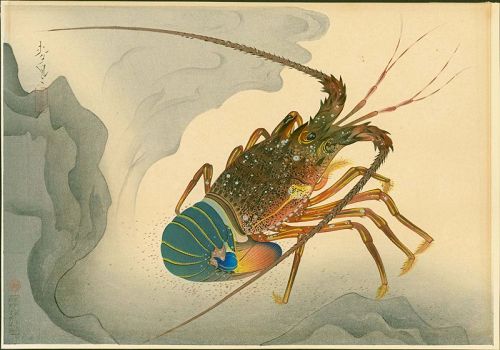 Ohno Bakufu Woodblock Print - Spiny Lobster - Familiar Fishes SOLD