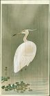 Ohara Koson Japanese Woodblock Print - Wading Egret in Rain SOLD